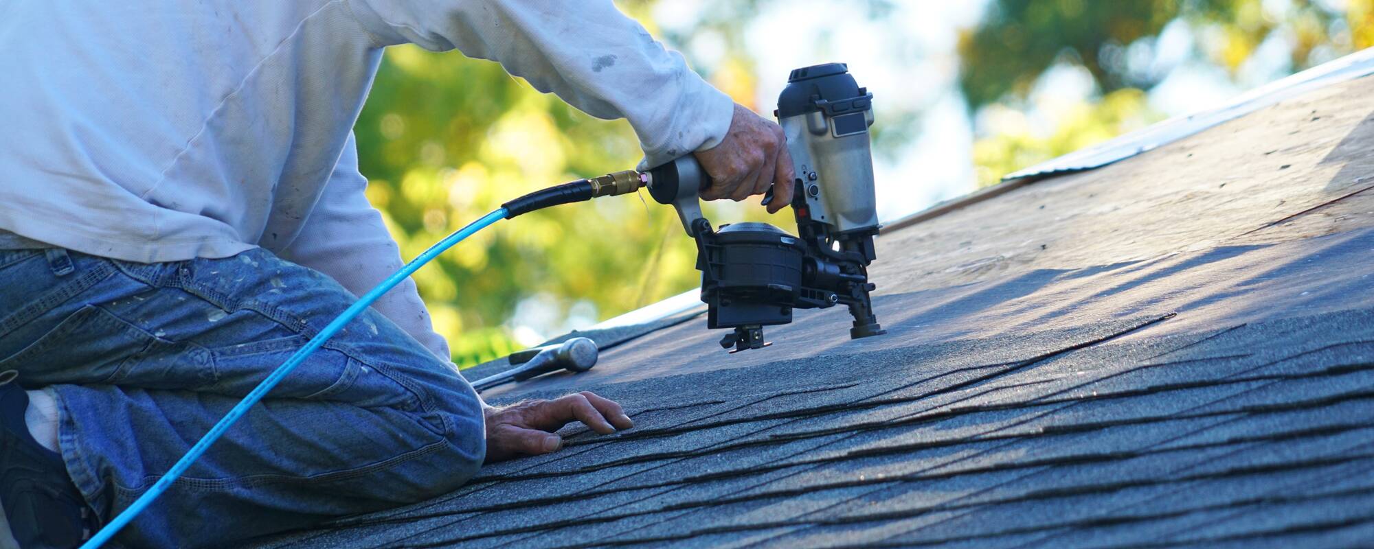 Adobestock 227731304.png 2000x800