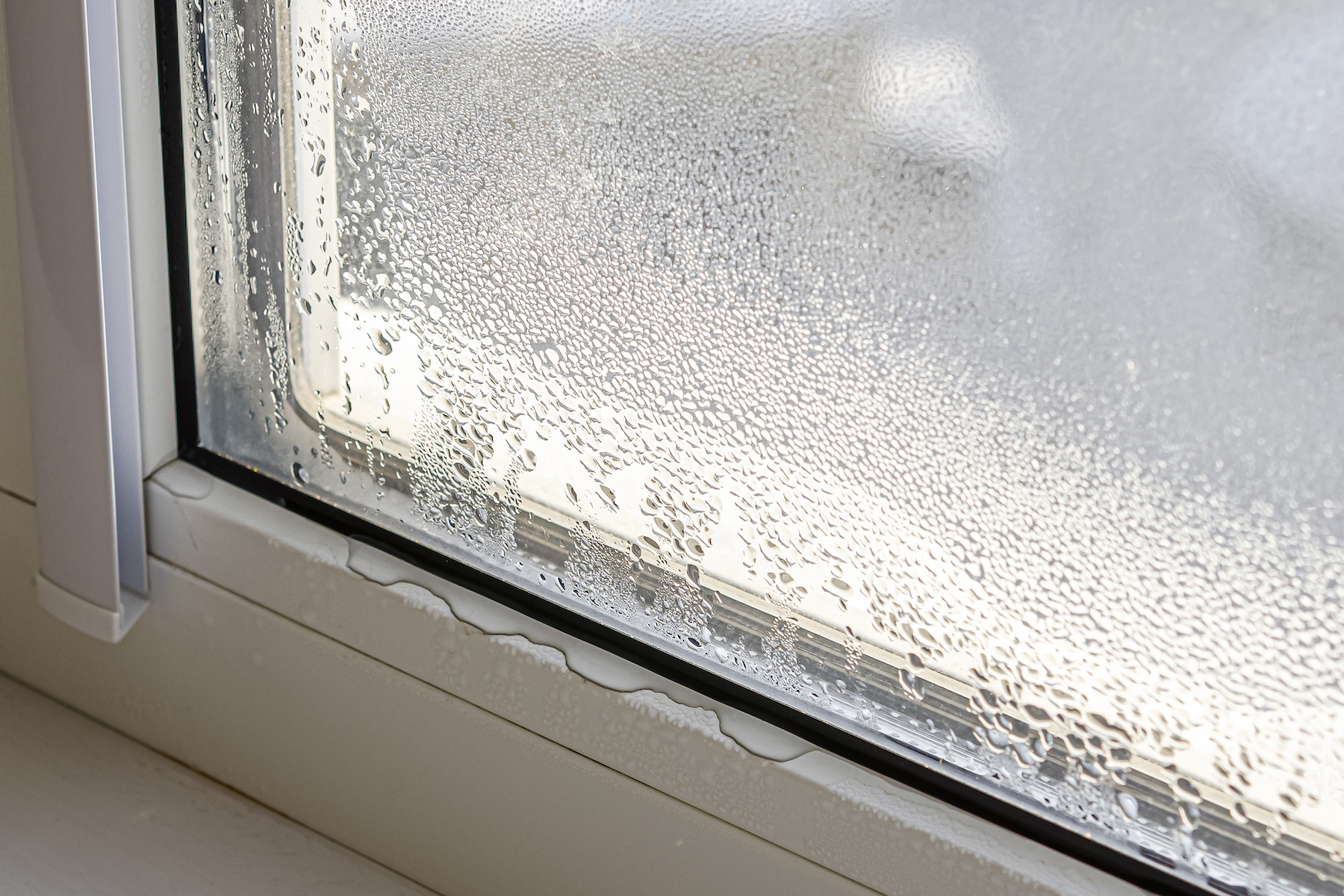 Can New Windows Reduce Humidity in My Home?
