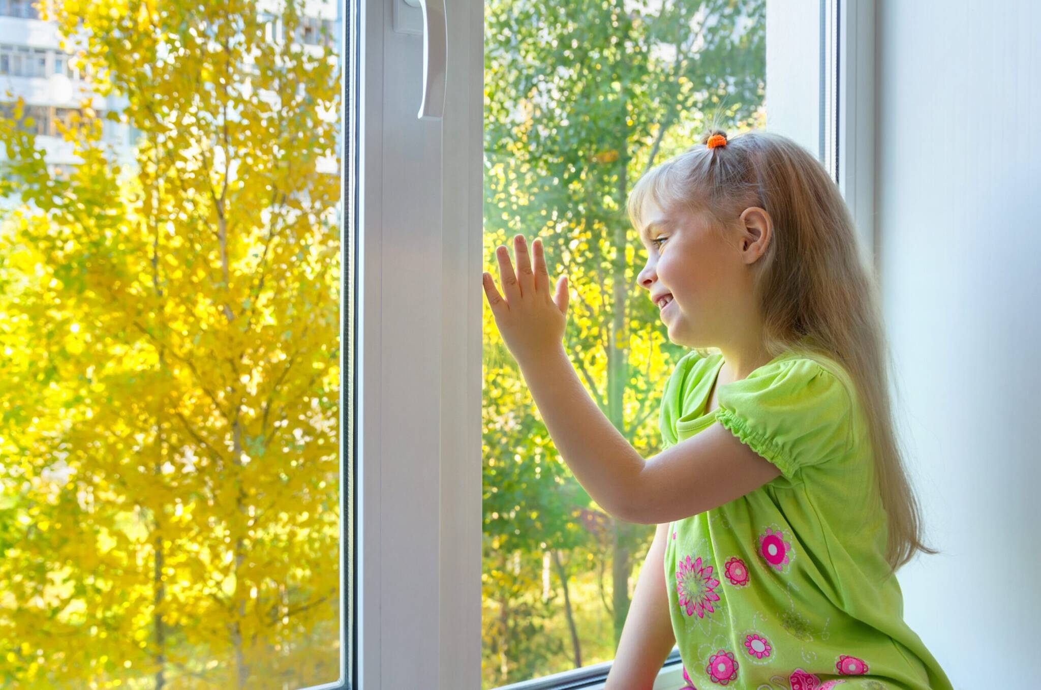 5 Questions to Ask Your Windows Specialist Before Your Buy