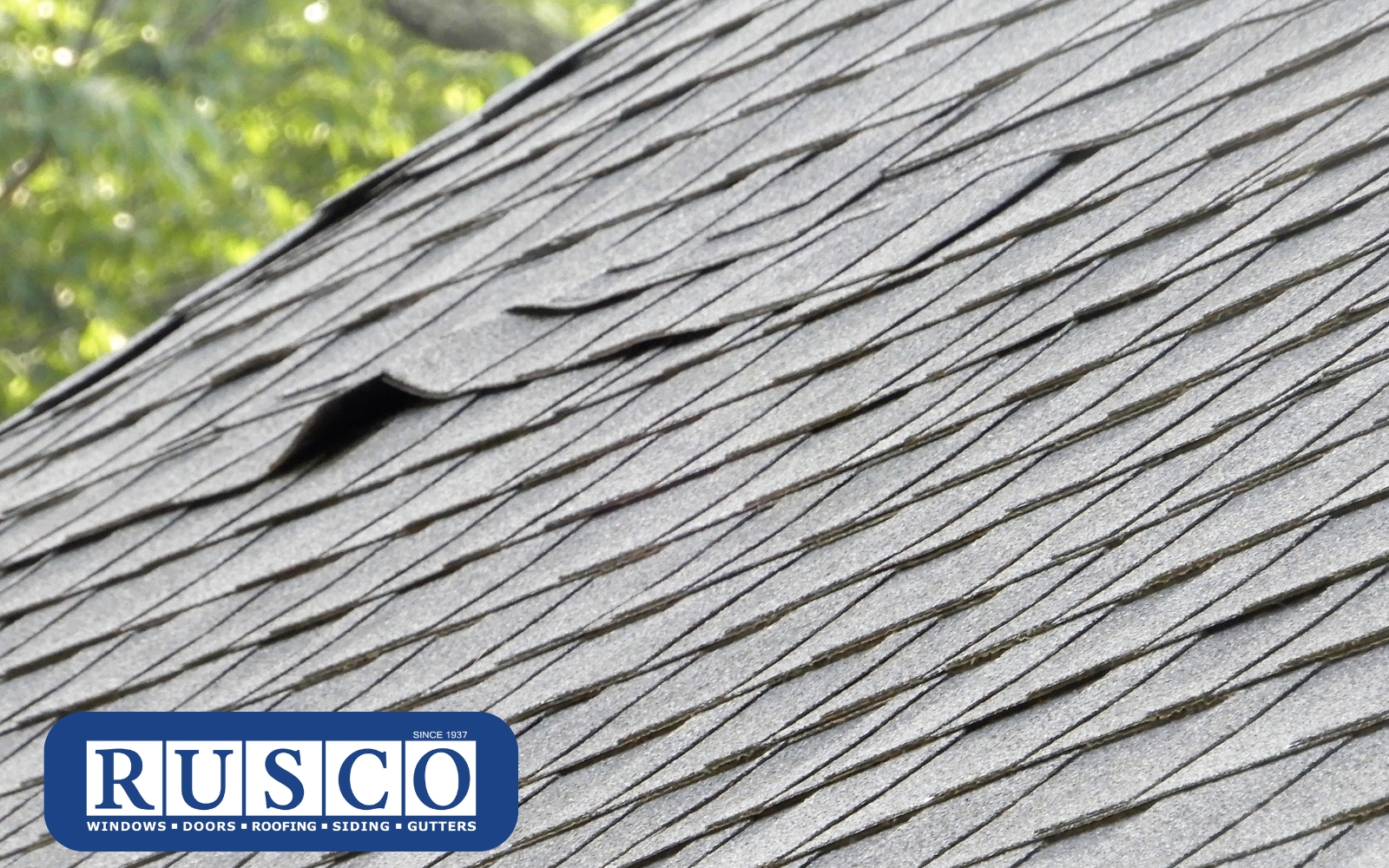 Is It Time to Replace Your Aging Roof?