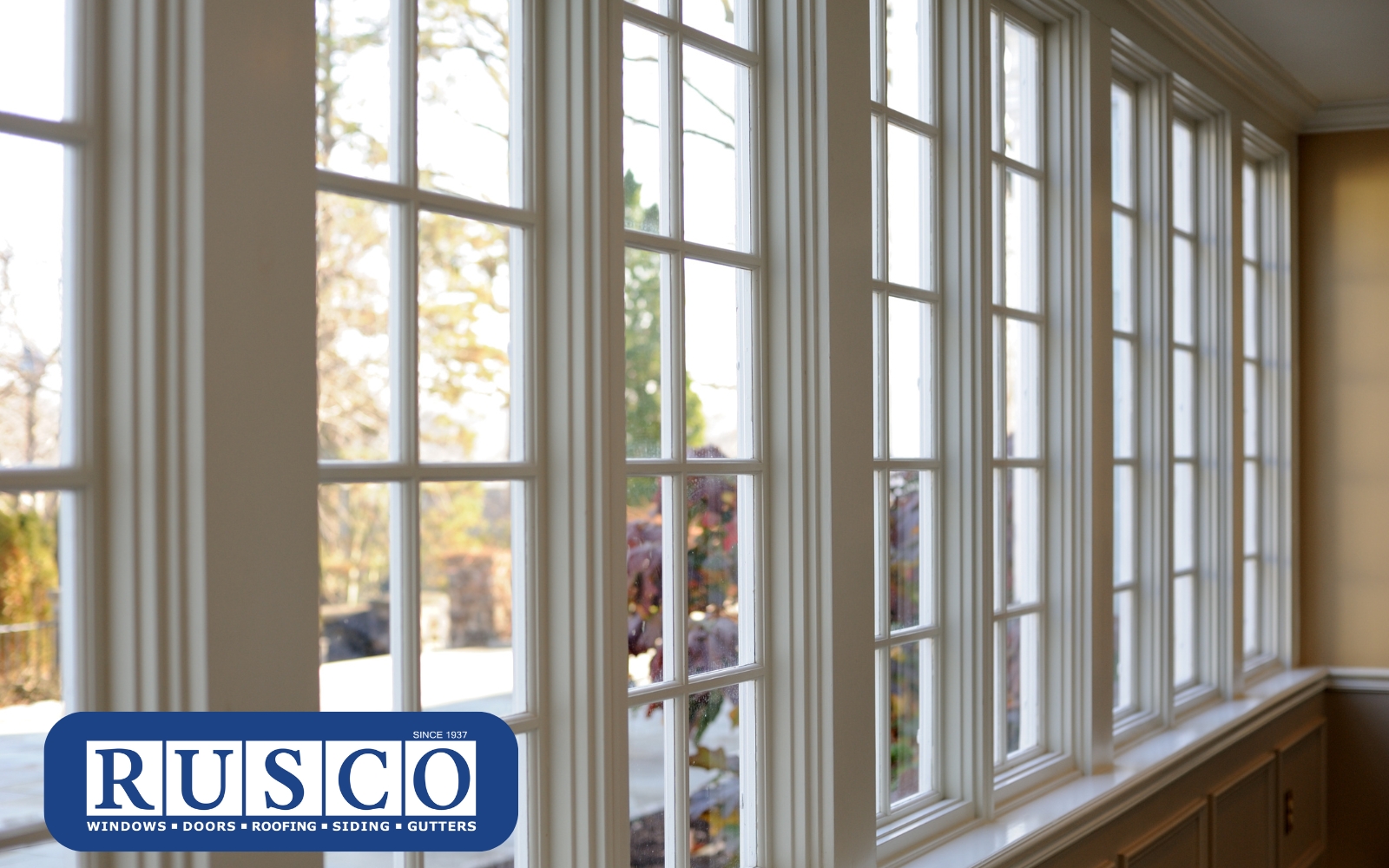 Noise Reduction 101 Best Window Solutions for Busy Streets