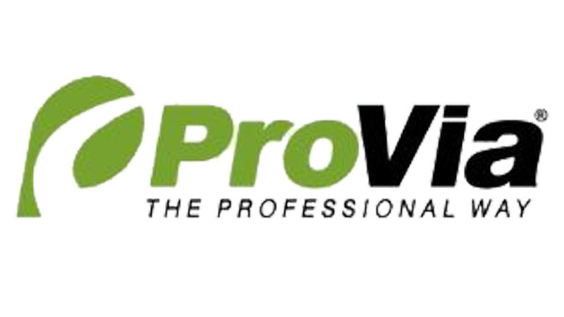 Untitled Design 7.png Trans