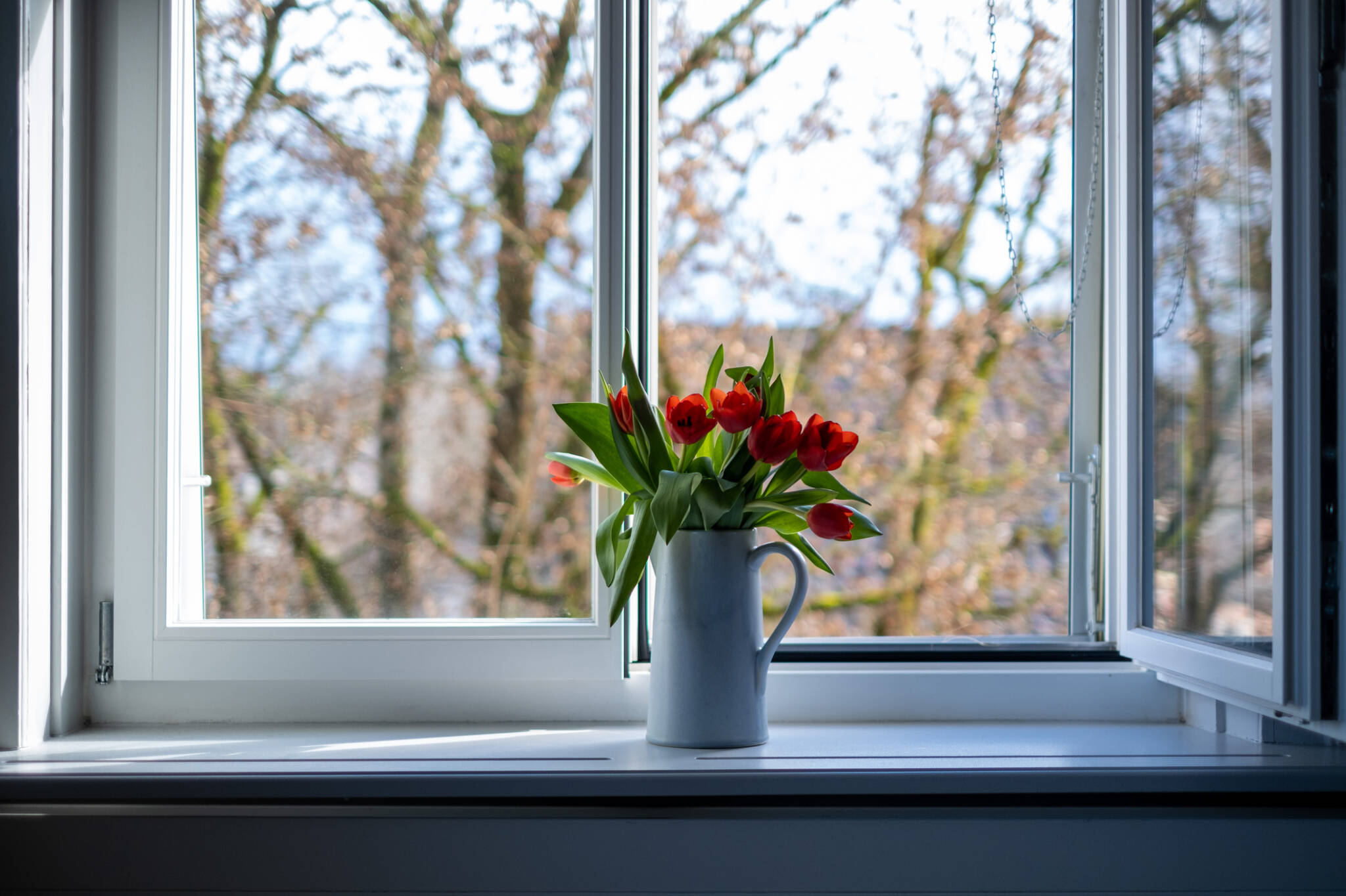 Why Summer is the Best Time to Replace the Windows
