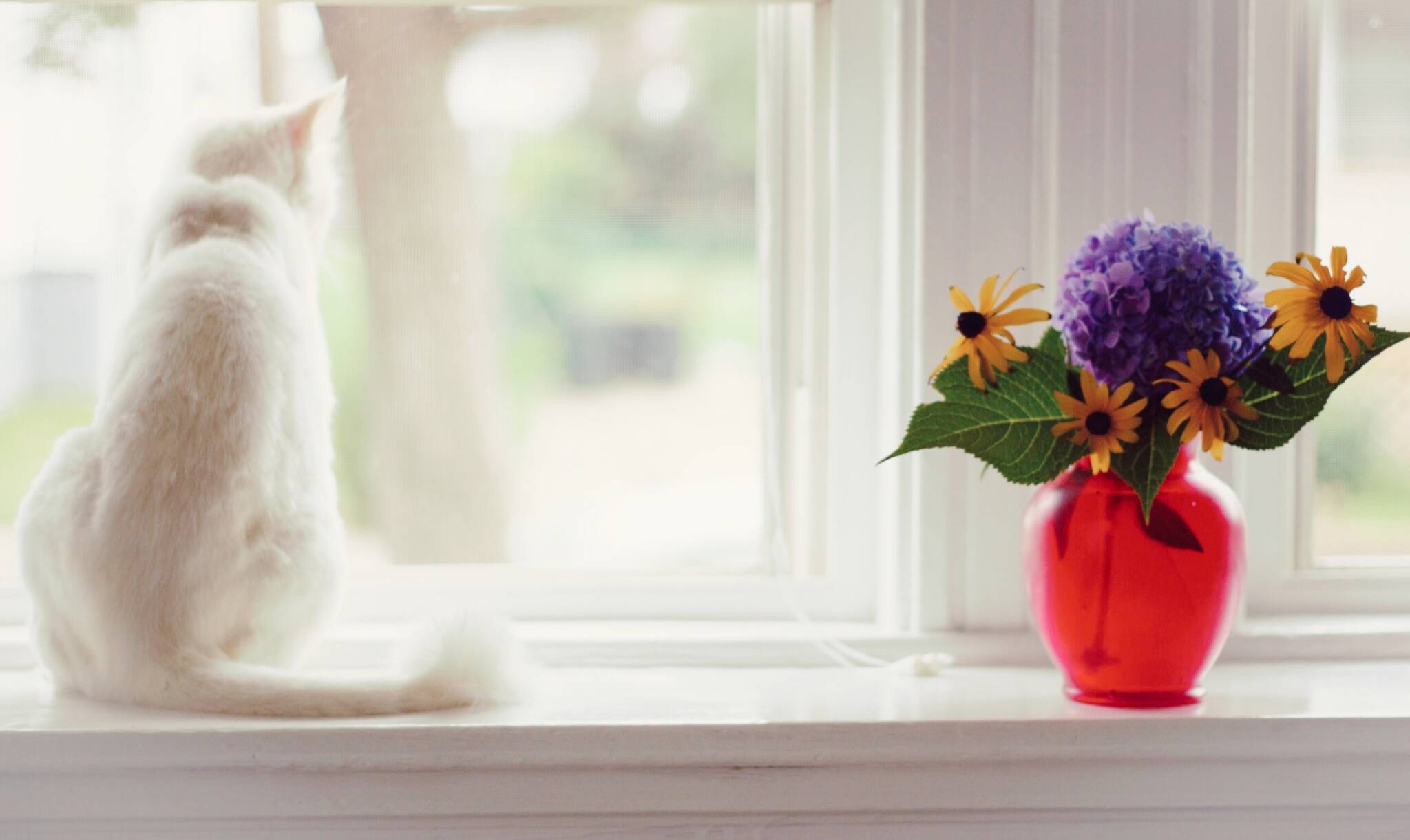 Custom Window Materials