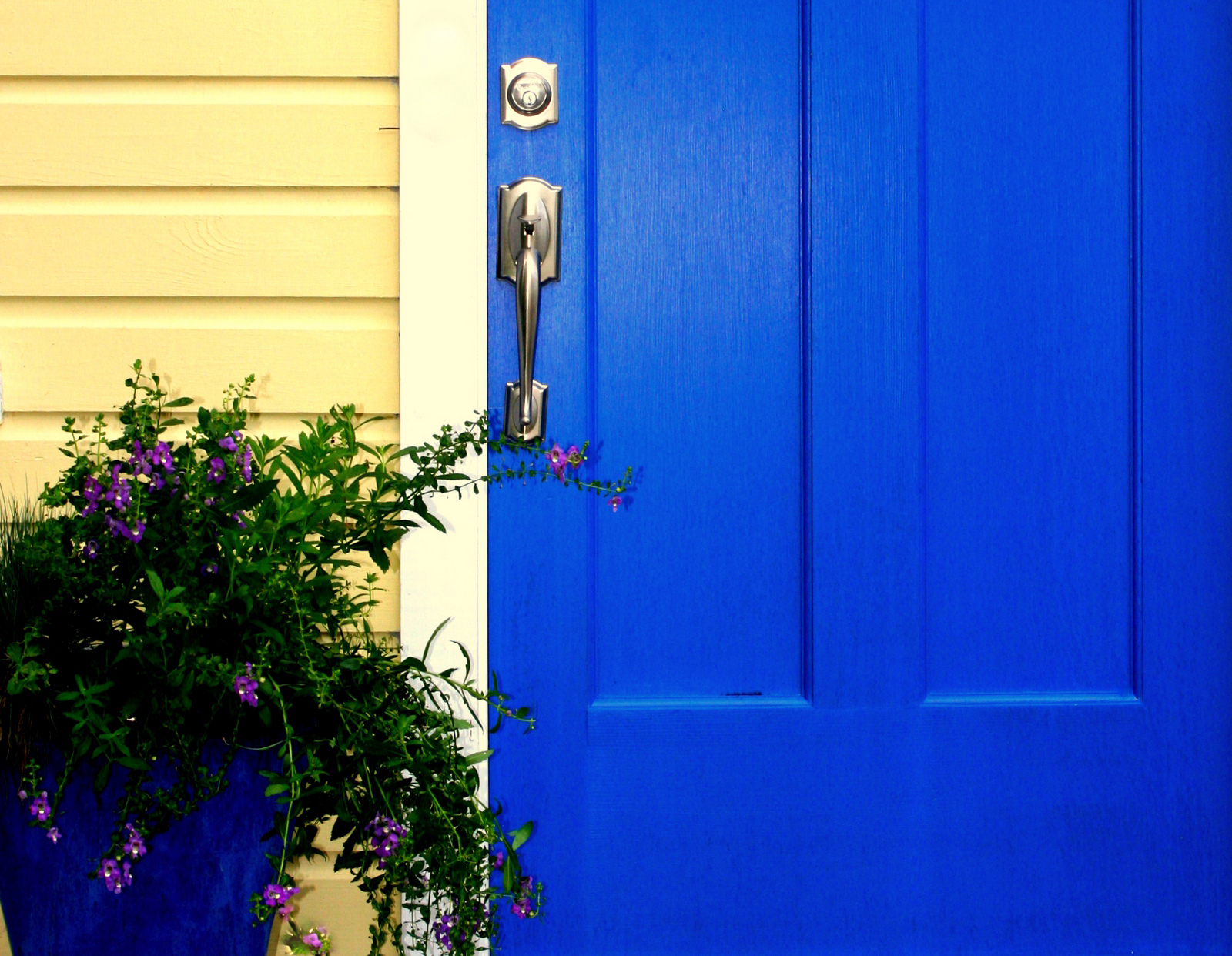 Spring Entry Inspiration