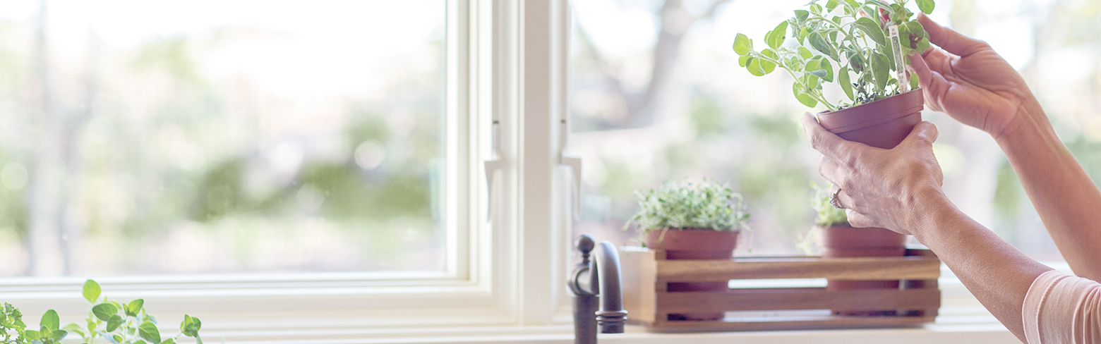 Contemporary vs. Traditional Custom Windows