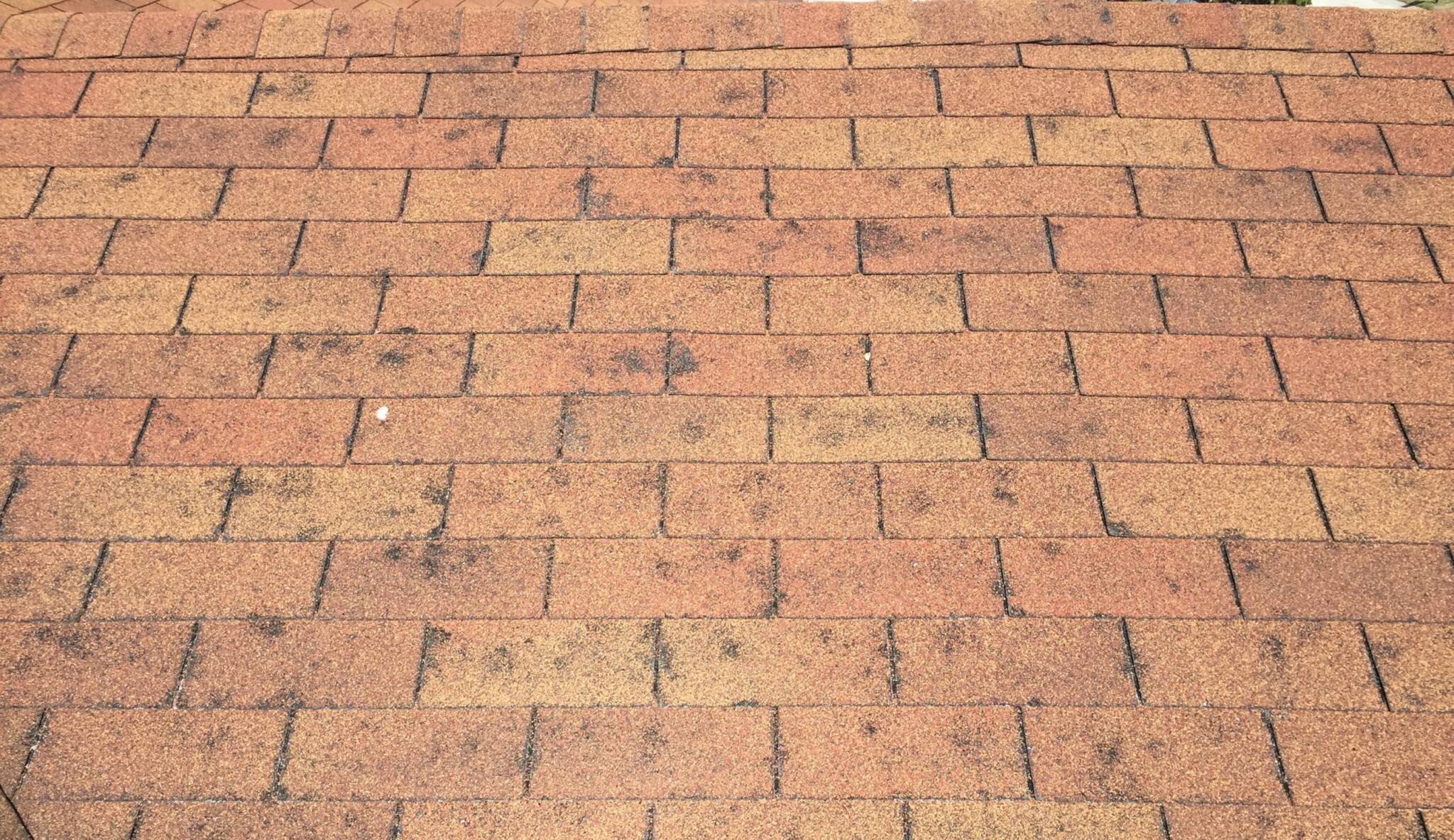 The Dangers of Having a Roof in Disrepair