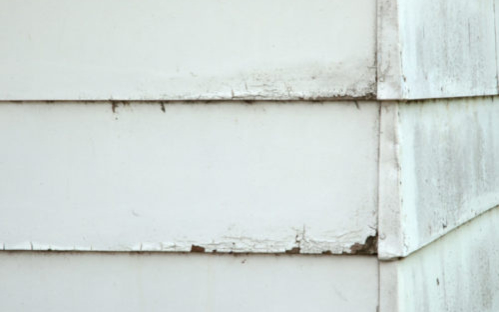 Water Damage Rusco Water Damage Rusco