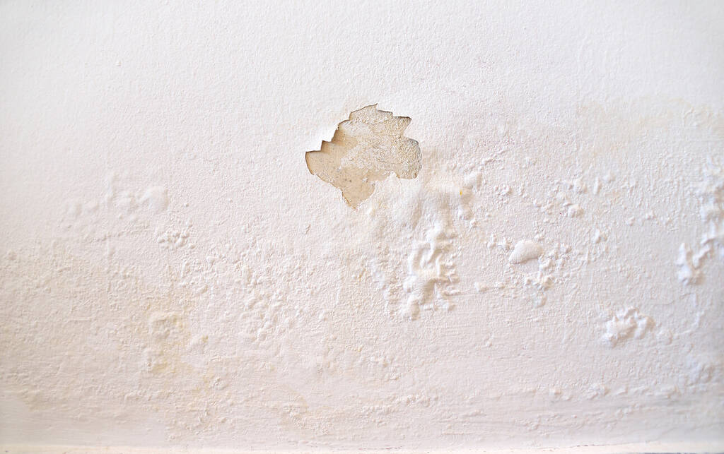 water damage from roof leak