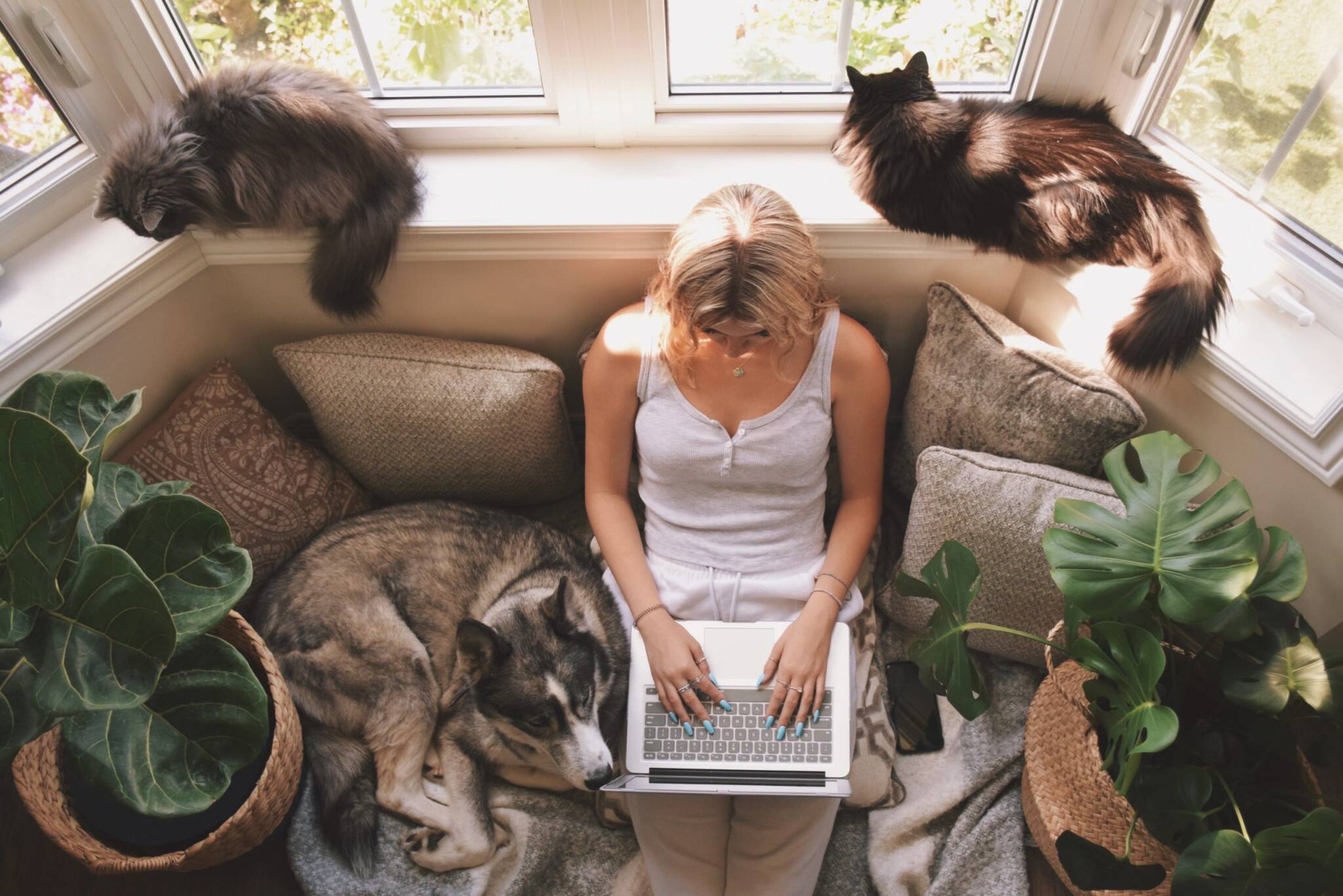 Is a Bay Window Addition in Your Future?