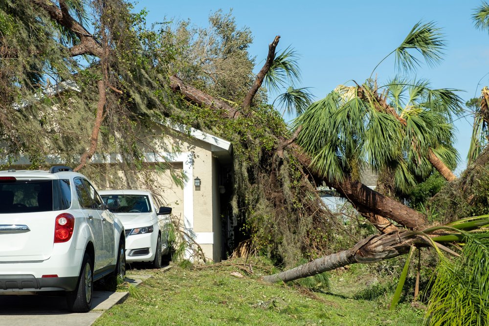 How Roofers in Downers Grove Handle Storm Damage cover