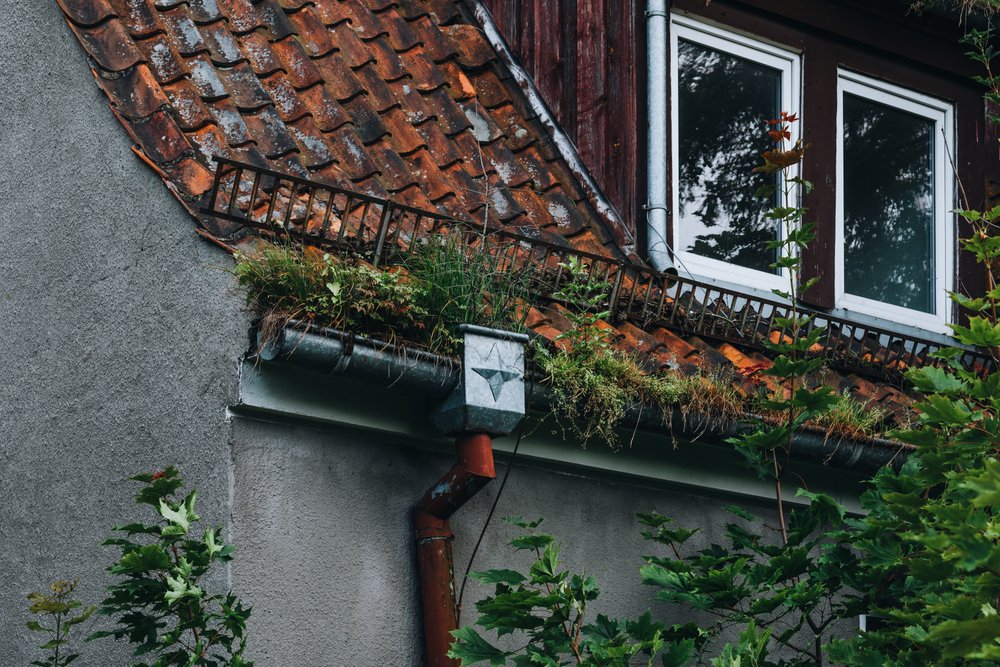 gutter maintenance